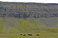 Iceland_Westcoast_039_ji.jpg