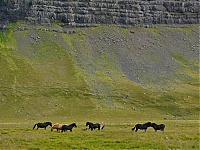 Iceland_Westcoast_041_ji.jpg