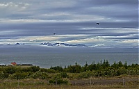 Iceland_Westcoast_057_ji.jpg