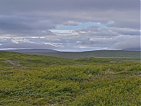 Iceland_Westcoast_059_ji.jpg