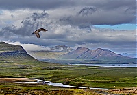 Dateiname=Iceland_Westcoast_061a_ji.jpg
Dateigröße=638KB
Abmessungen: 1600x1110
hinzugefügt am: 29. November 2019 Iceland_Westcoast_061a_ji.jpg