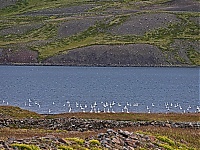 Dateiname=Iceland_Westcoast_079_ji.jpg
Dateigröße=971KB
Abmessungen: 1600x1201
hinzugefügt am: 29. November 2019 Iceland_Westcoast_079_ji.jpg