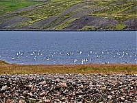 Dateiname=Iceland_Westcoast_080_ji.jpg
Dateigröße=1112KB
Abmessungen: 1600x1201
hinzugefügt am: 29. November 2019 Iceland_Westcoast_080_ji.jpg