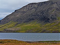 Iceland_Westcoast_081_ji.jpg