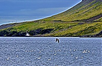 Iceland_Westcoast_083_ji.jpg