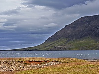 Iceland_Westcoast_102_ji.jpg