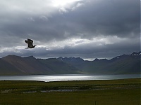 Iceland_Westcoast_119a.jpg