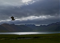 Dateiname=Iceland_Westcoast_119a_ji.jpg
Dateigröße=342KB
Abmessungen: 1600x1144
hinzugefügt am: 29. November 2019 Iceland_Westcoast_119a_ji.jpg