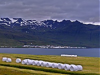 Iceland_Westcoast_129_ji.jpg