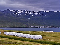 Iceland_Westcoast_130_ji.jpg