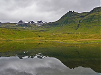 Iceland_Westcoast_136_ji.jpg