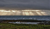 Westfjorde_10.jpg