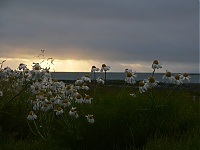 Westfjords_Iceland_020_ji.jpg