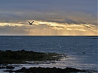 Dateiname=Westfjords_Iceland_029_ji.jpg
Dateigröße=547KB
Abmessungen: 1600x1201
hinzugefügt am: 29. November 2019 Westfjords_Iceland_029_ji.jpg