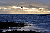 Westfjords_Iceland_030_ji.jpg