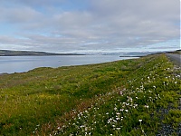 Westfjords_Iceland_038_ji.jpg