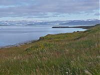 Westfjords_Iceland_040_ji.jpg