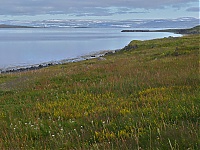 Dateiname=Westfjords_Iceland_041_ji.jpg
Dateigröße=800KB
Abmessungen: 1600x1201
hinzugefügt am: 29. November 2019 Westfjords_Iceland_041_ji.jpg
