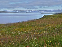 Dateiname=Westfjords_Iceland_042_ji.jpg
Dateigröße=797KB
Abmessungen: 1600x1201
hinzugefügt am: 29. November 2019 Westfjords_Iceland_042_ji.jpg