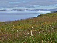 Westfjords_Iceland_042_ji.jpg