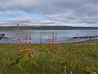 Westfjords_Iceland_047_ji.jpg