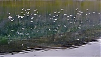 Dateiname=Westfjords_Iceland_050_ji.jpg
Dateigröße=479KB
Abmessungen: 1600x908
hinzugefügt am: 29. November 2019 Westfjords_Iceland_050_ji.jpg