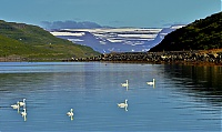 Dateiname=Westfjords_Iceland_062a_ji.jpg
Dateigröße=491KB
Abmessungen: 1600x954
hinzugefügt am: 29. November 2019 Westfjords_Iceland_062a_ji.jpg