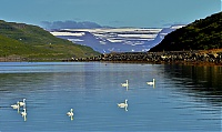 Westfjords_Iceland_062a_ji.jpg