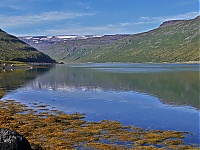 Dateiname=Westfjords_Iceland_066_ji.jpg
Dateigröße=754KB
Abmessungen: 1600x1201
hinzugefügt am: 29. November 2019 Westfjords_Iceland_066_ji.jpg