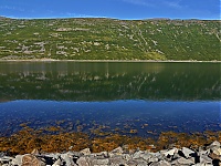 Westfjords_Iceland_075_ji.jpg