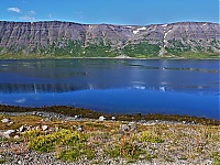 Westfjords_Iceland_150_ji.jpg