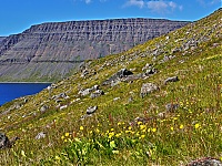 Westfjords_Iceland_152_ji.jpg