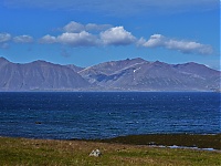 Westfjords_Iceland_166_ji.jpg