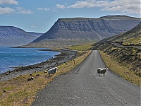 Westfjords_Iceland_167_ji.jpg