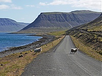 Westfjords_Iceland_168_ji.jpg