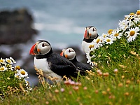 Dateiname=Westfjords_Iceland_175_ji.jpg
Dateigröße=660KB
Abmessungen: 1600x1201
hinzugefügt am: 29. November 2019 Westfjords_Iceland_175_ji.jpg