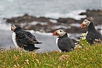 Dateiname=Westfjords_Iceland_177_ji.jpg
Dateigröße=516KB
Abmessungen: 1600x1085
hinzugefügt am: 29. November 2019 Westfjords_Iceland_177_ji.jpg