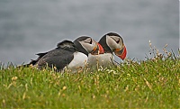 Westfjords_Iceland_179_ji.jpg