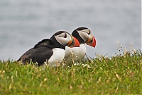 Westfjords_Iceland_180_ji.jpg