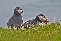 Westfjords_Iceland_181_ji.jpg