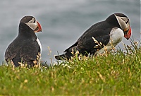 Westfjords_Iceland_182_ji.jpg