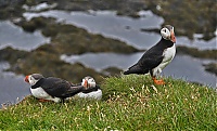 Westfjords_Iceland_183_ji.jpg