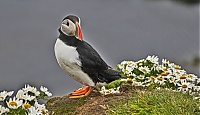 Westfjords_Iceland_185_ji.jpg