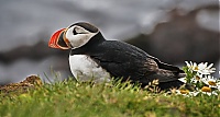 Westfjords_Iceland_187_ji.jpg