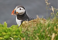 Westfjords_Iceland_191_ji.jpg