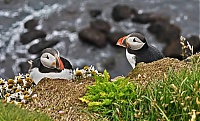 Westfjords_Iceland_192_ji.jpg