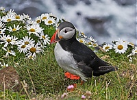 Westfjords_Iceland_193_ji.jpg