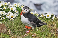 Westfjords_Iceland_194_ji.jpg