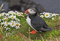 Westfjords_Iceland_195_ji.jpg