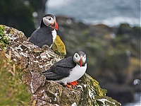 Westfjords_Iceland_196_ji.jpg